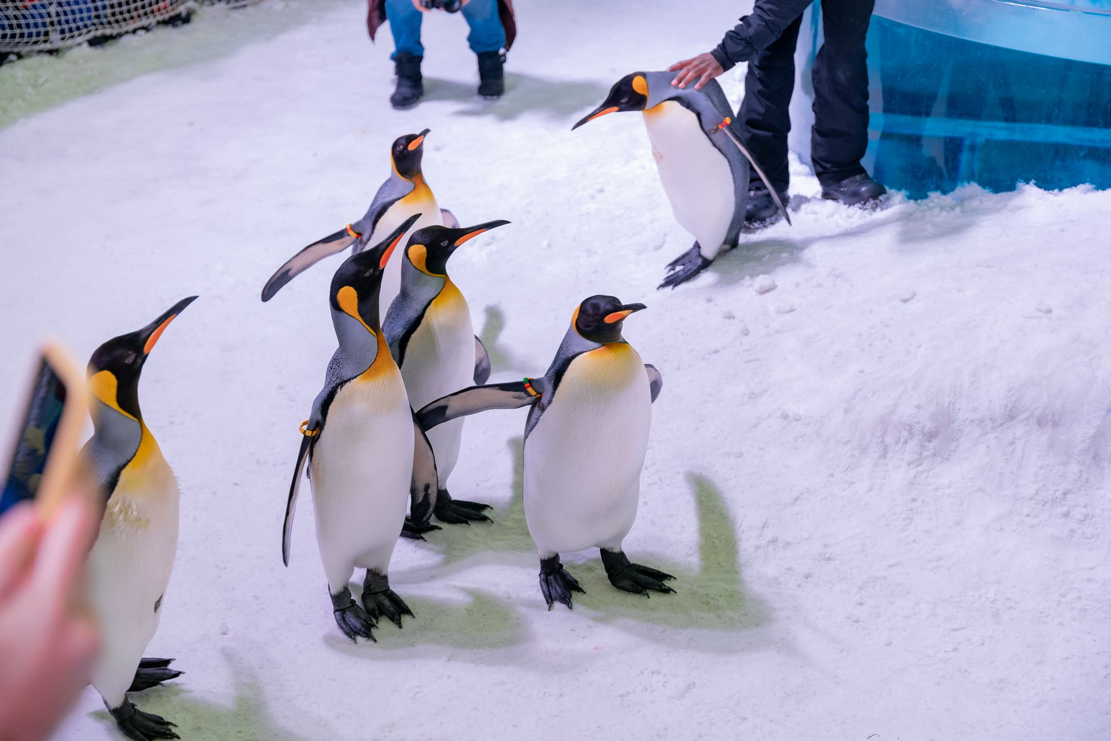 Fun Activities for Everyone